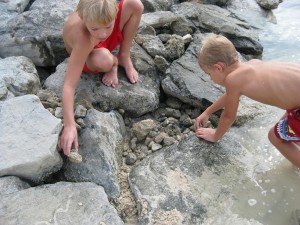 Bild 5